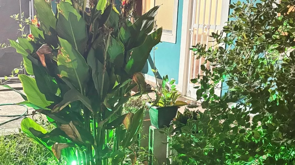 Casa, 3 quartos, 130 m² - Foto 4