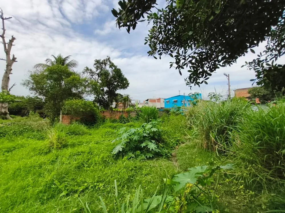 Terreno, 525 m² - Foto 10