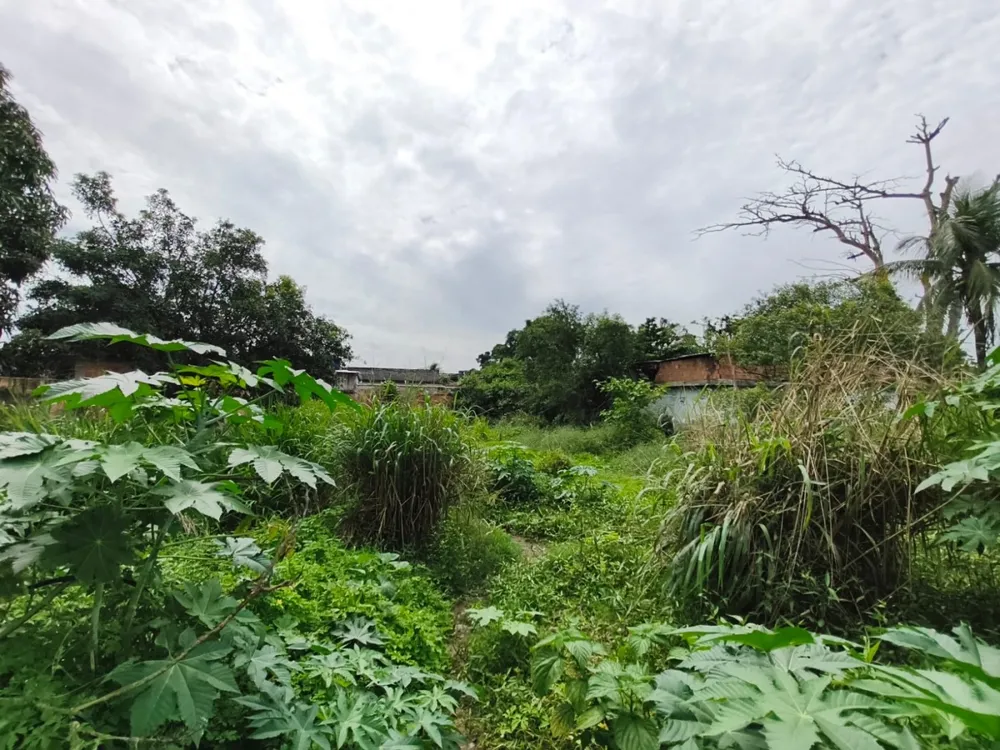 Terreno, 525 m² - Foto 16