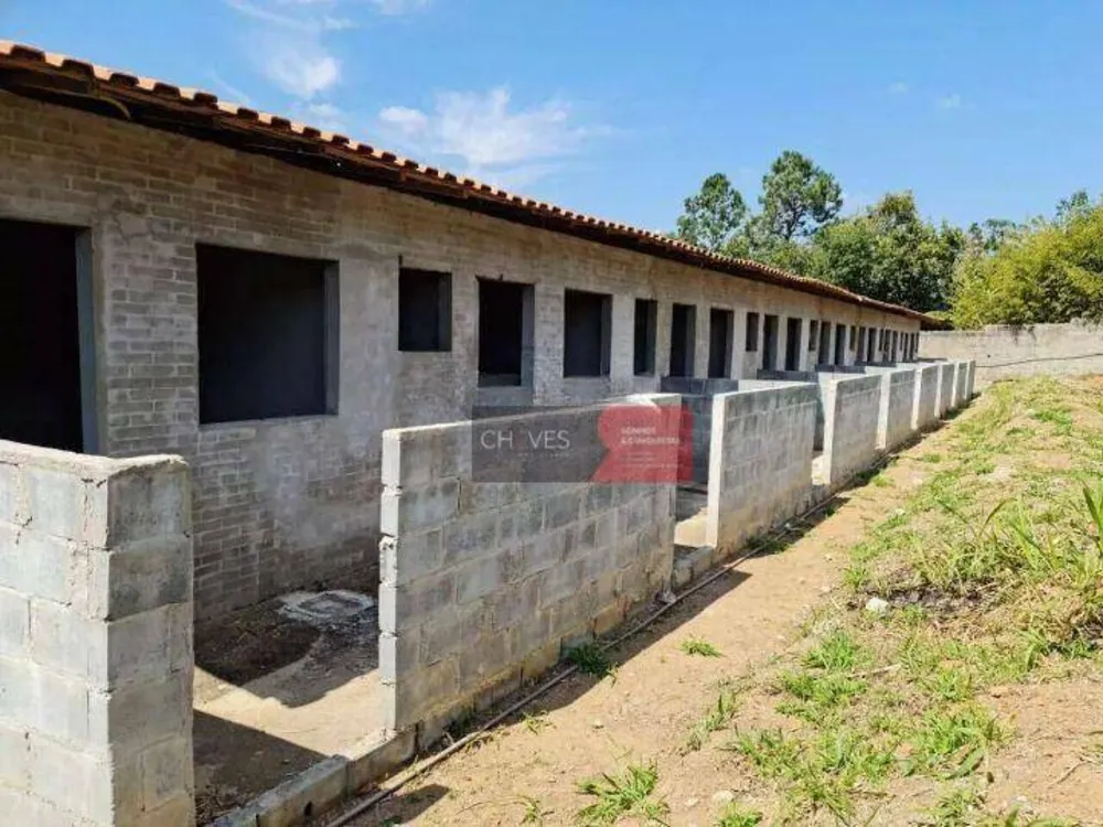 Casa, 1 quarto, 350 m² - Foto 3