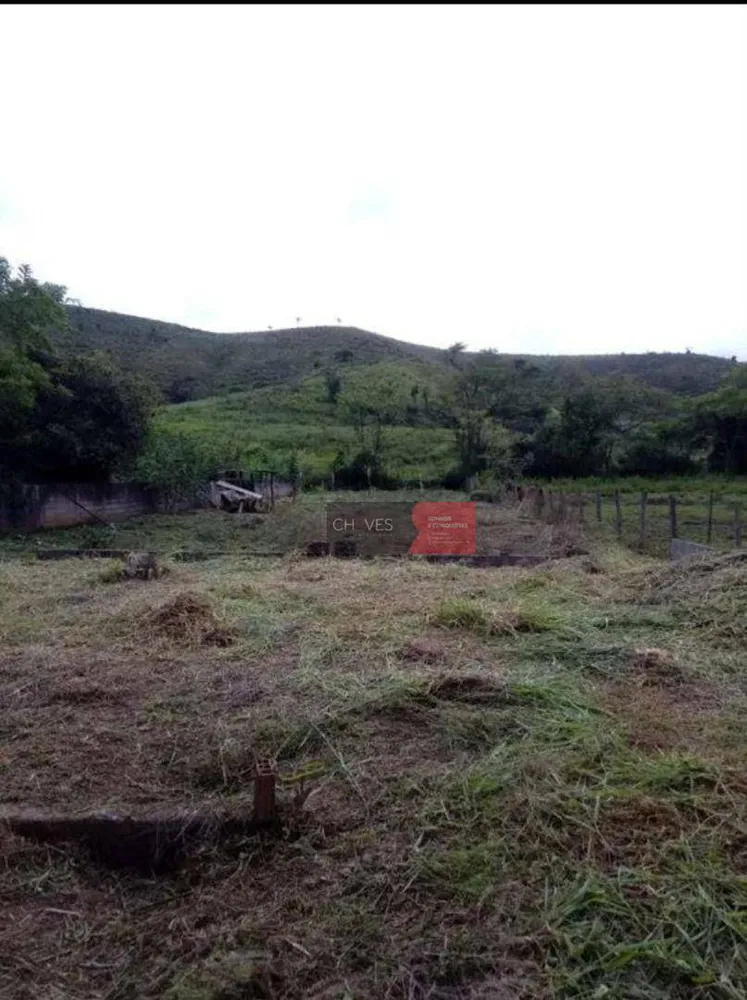 Chácara, 4 quartos, 2000 m² - Foto 3