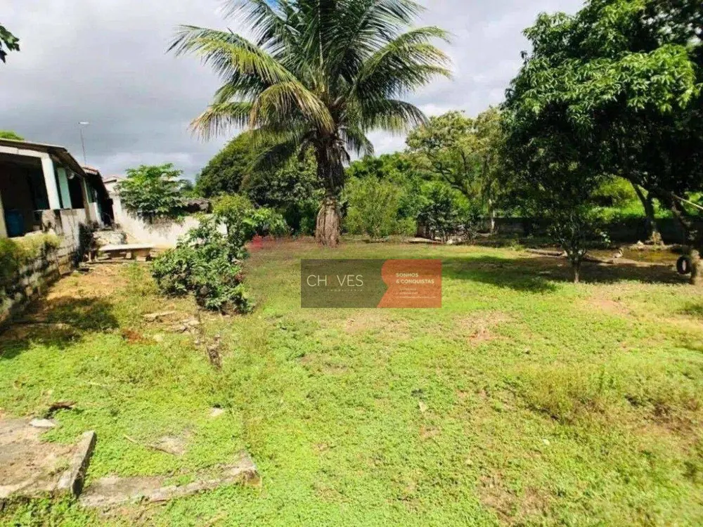 Chácara, 3 quartos, 2358 m² - Foto 5