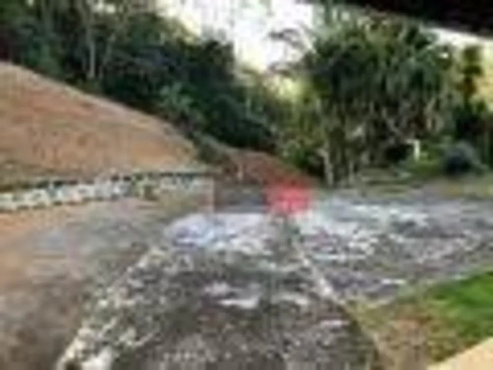 Chácara, 2 quartos, 6600 m² - Foto 11