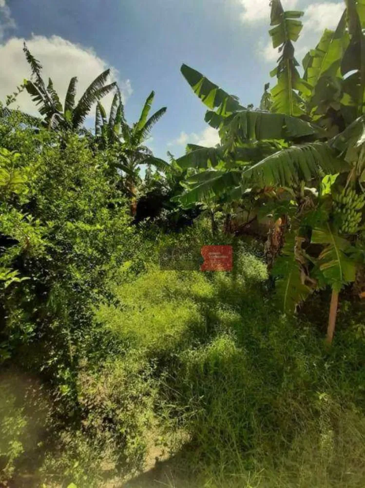 Casa, 3 quartos, 102 m² - Foto 15