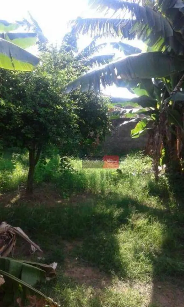 Casa, 3 quartos, 80 m² - Foto 10