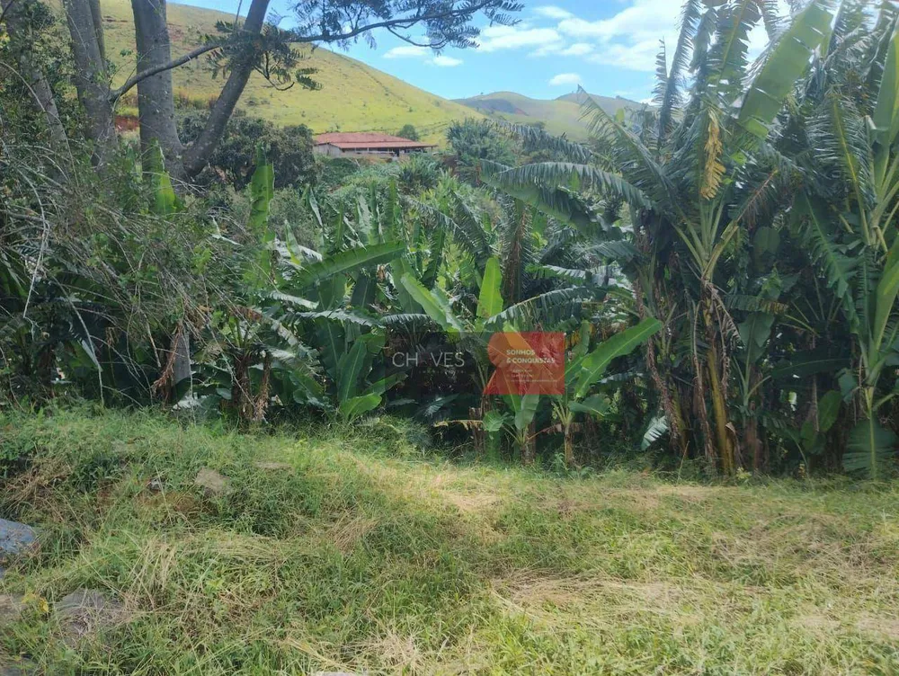 Sítio, 3 quartos, 2 hectares - Foto 3