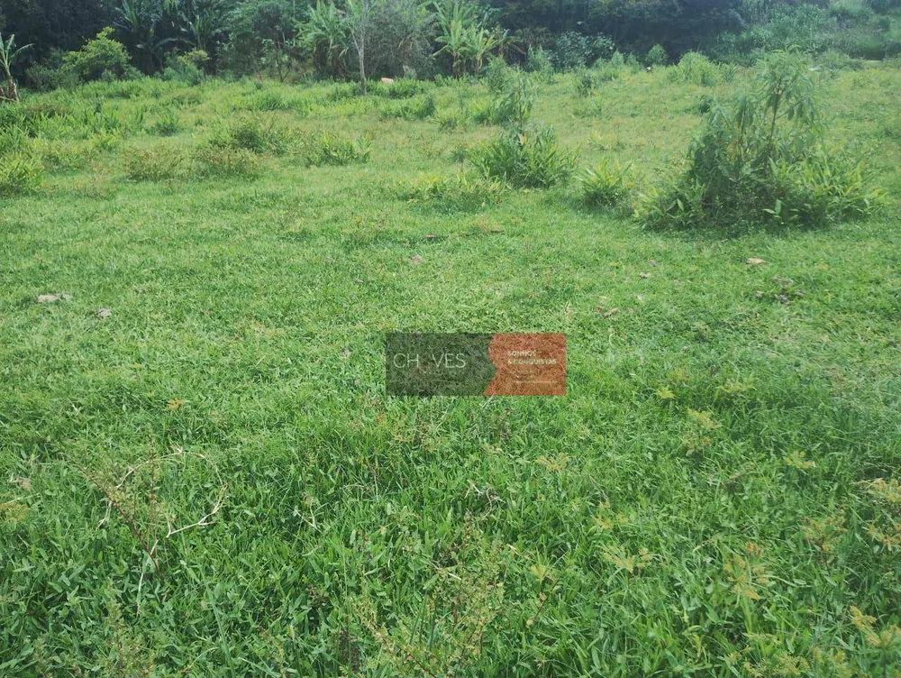 Sítio, 3 quartos, 2 hectares - Foto 1