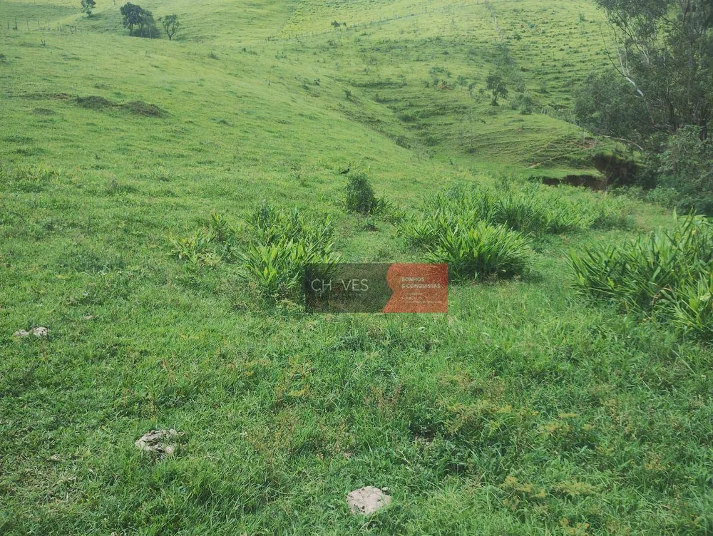 Sítio, 3 quartos, 2 hectares - Foto 4