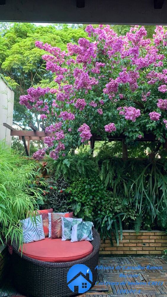 Casa de Condomínio à venda com 2 quartos, 71m² - Foto 4