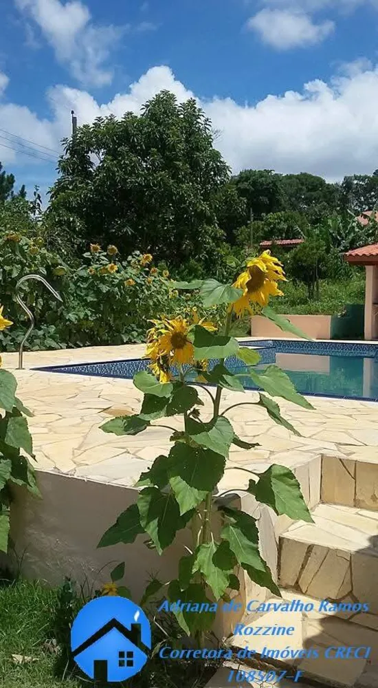 Casa, 2 quartos, 2000 m² - Foto 6