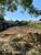 Terreno, 227 m² - Foto 3