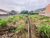 Terreno, 360 m² - Foto 2
