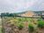 Terreno, 720 m² - Foto 3