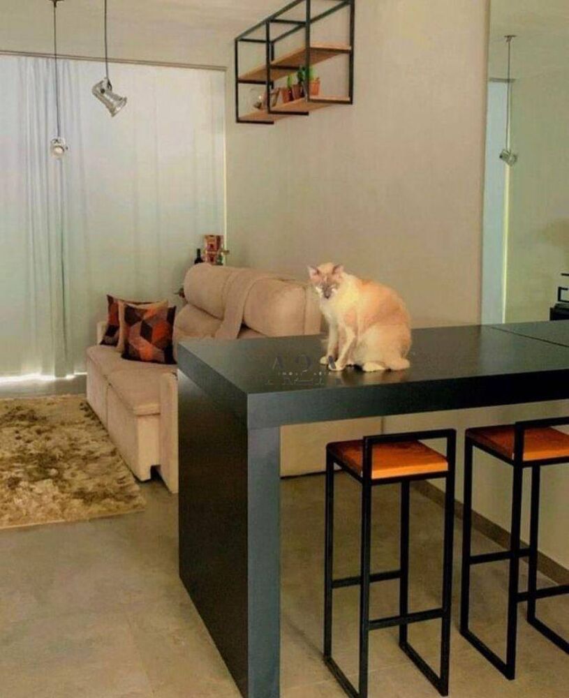 Casa, 2 quartos, 90 m² - Foto 11