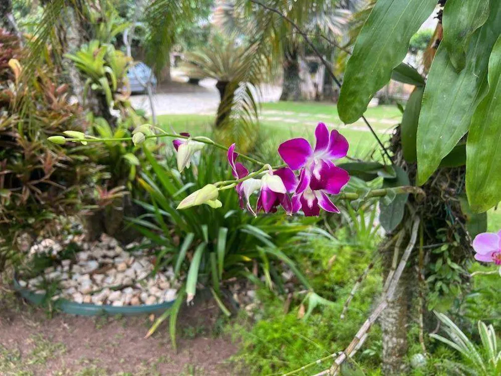 Casa de Condomínio, 4 quartos - Foto 63