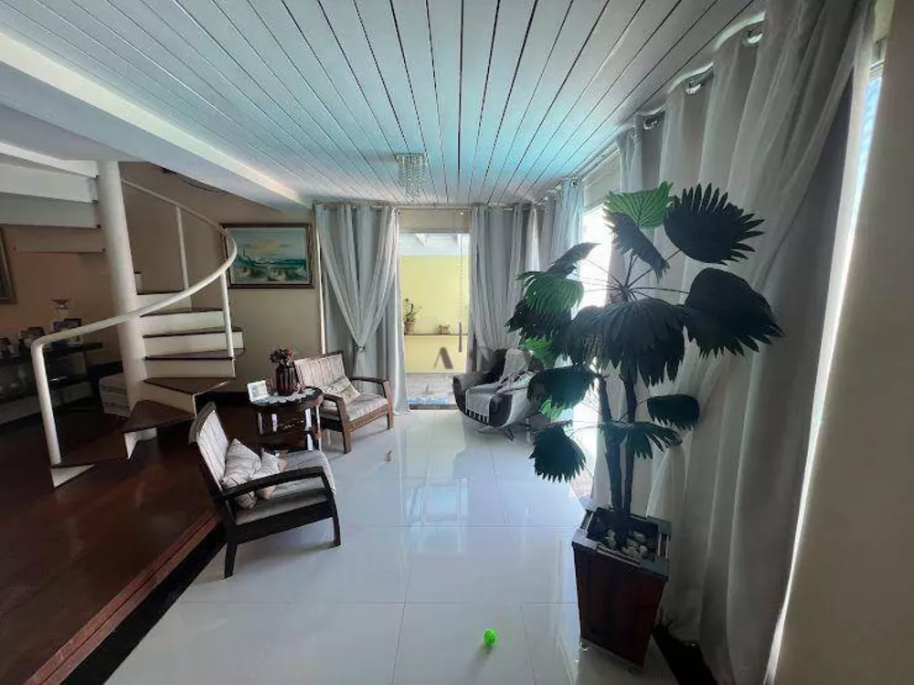 Casa, 4 quartos, 290 m² - Foto 50