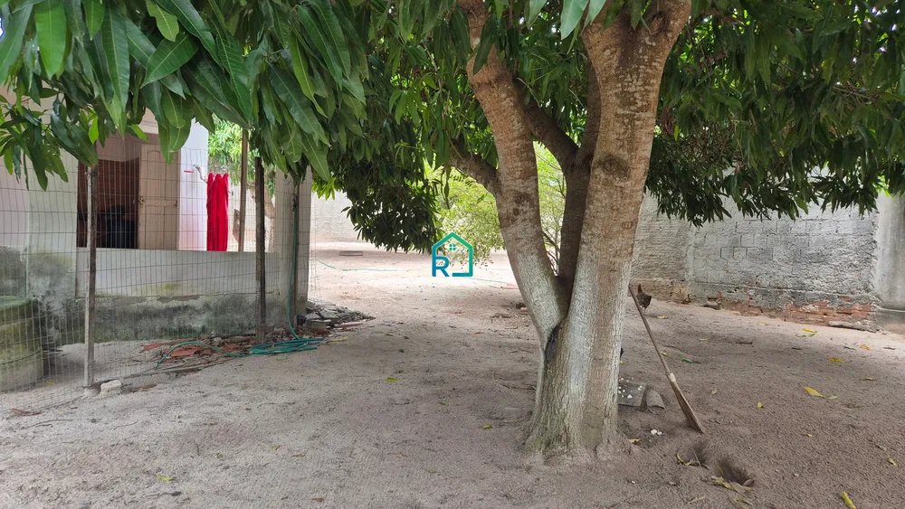 Chácara, 3 quartos - Foto 12