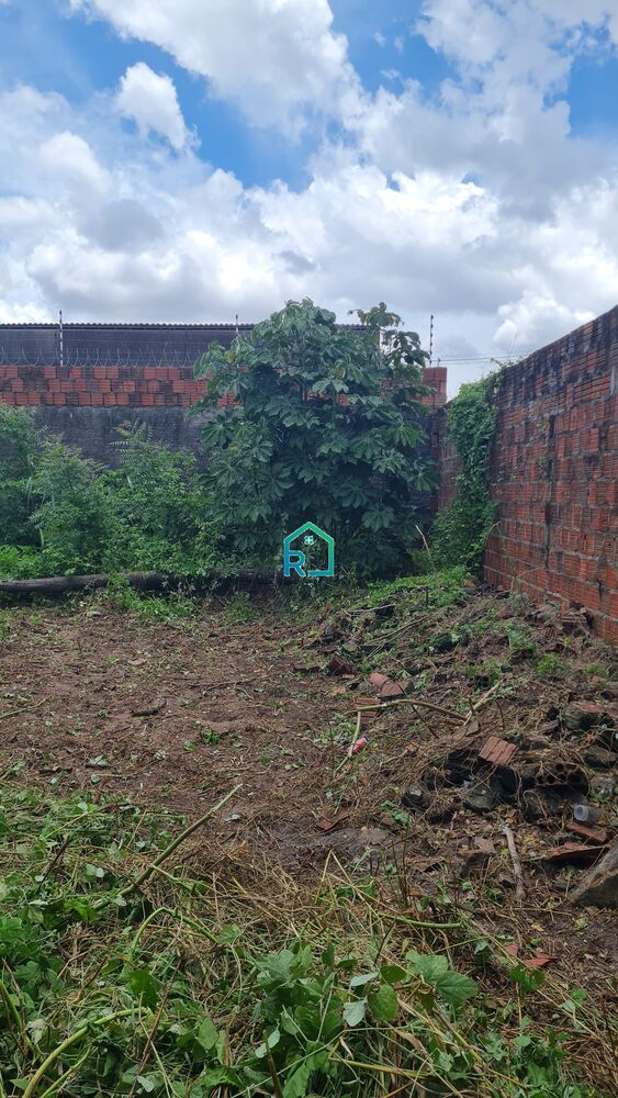 Casa, 2 quartos, 120 m² - Foto 3