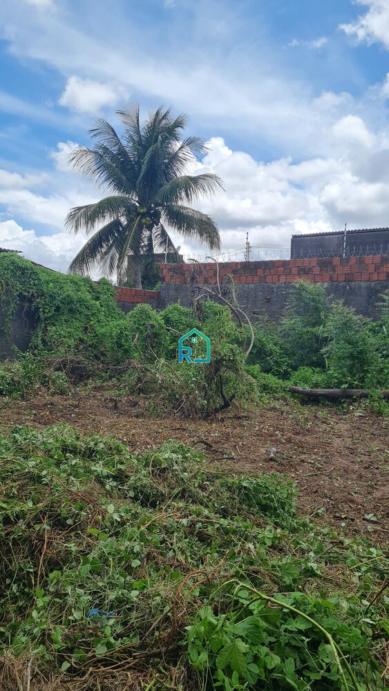 Casa, 2 quartos, 120 m² - Foto 2