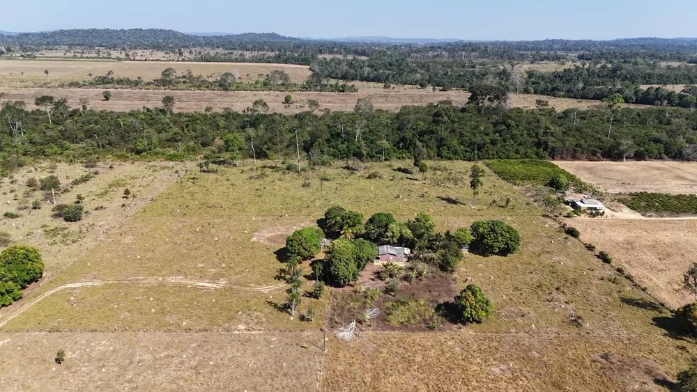 Chácara, 5 hectares - Foto 4