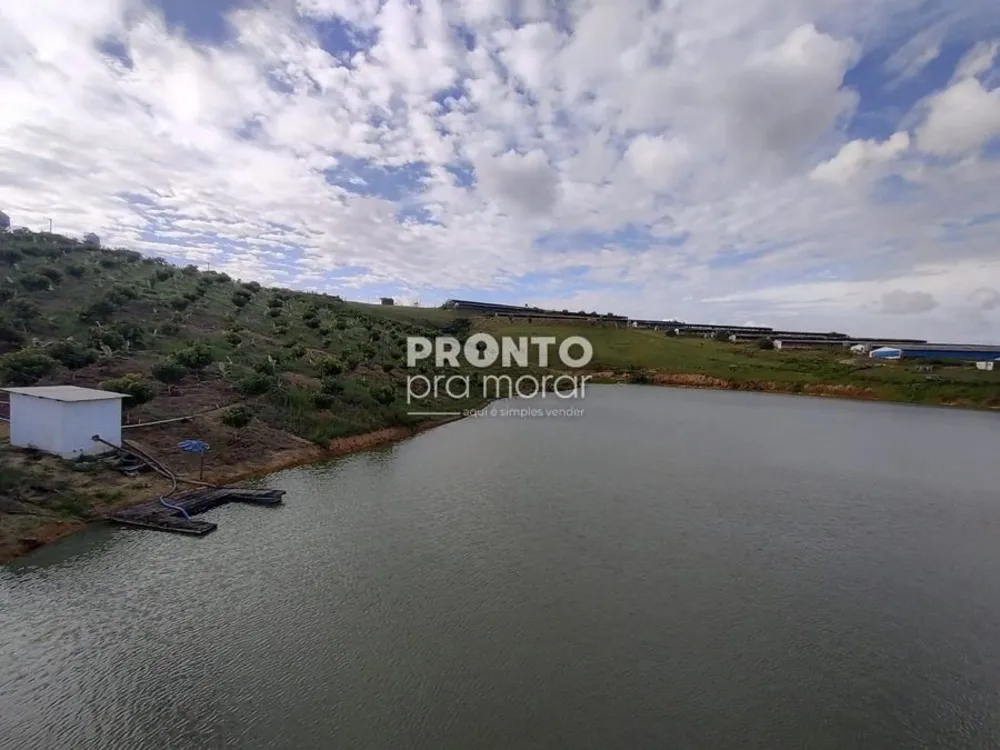 Apartamento, 4 quartos, 265 m² - Foto 4