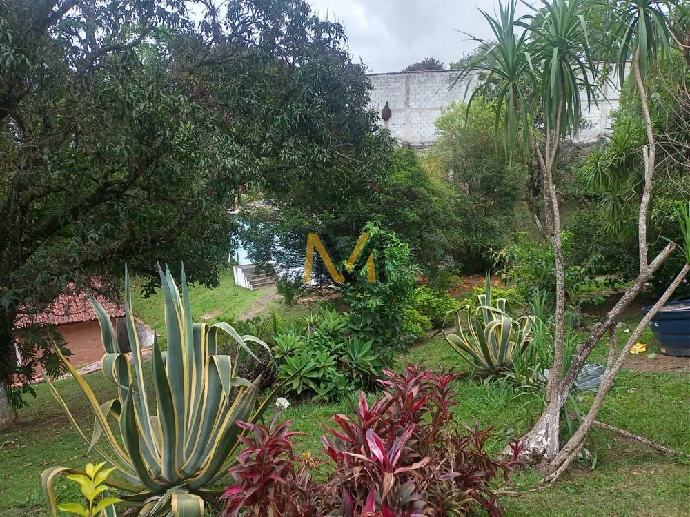 Chácara, 3 quartos, 7000 m² - Foto 5