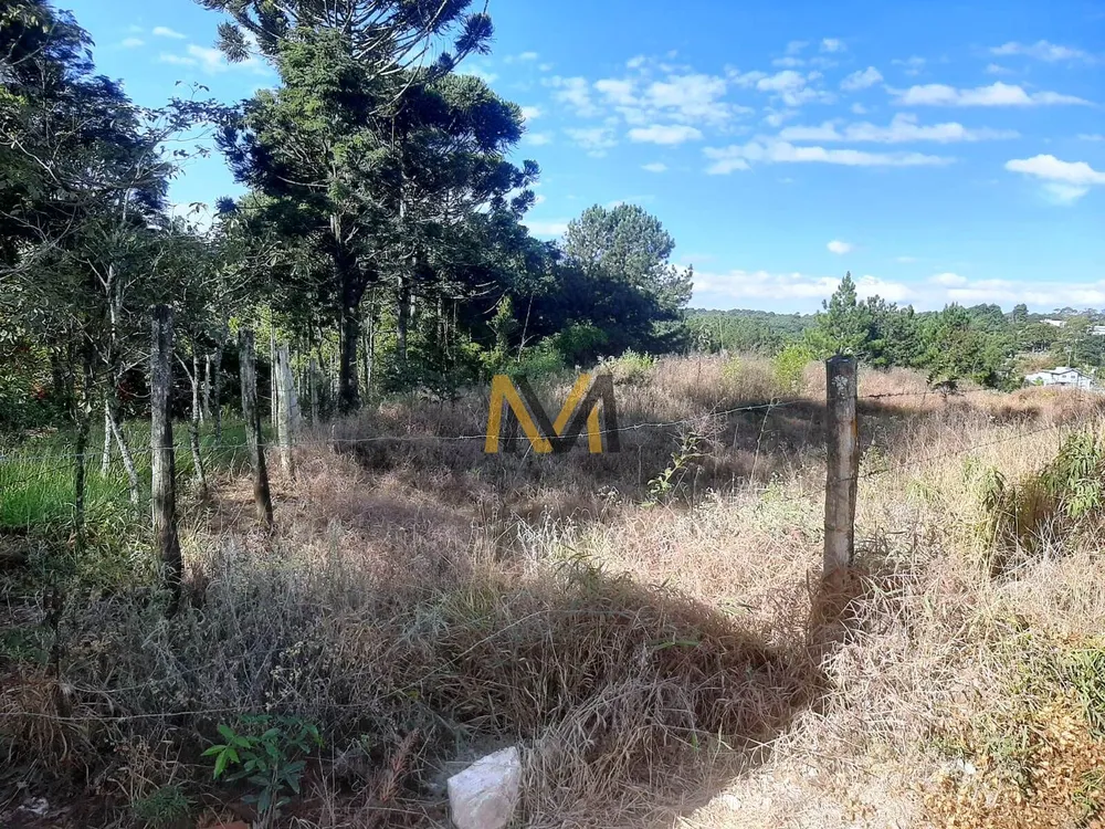 Terreno, 1500 m² - Foto 13