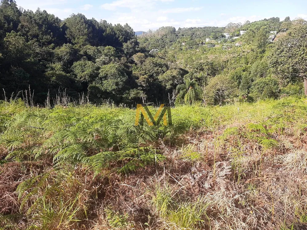 Terreno, 1500 m² - Foto 15