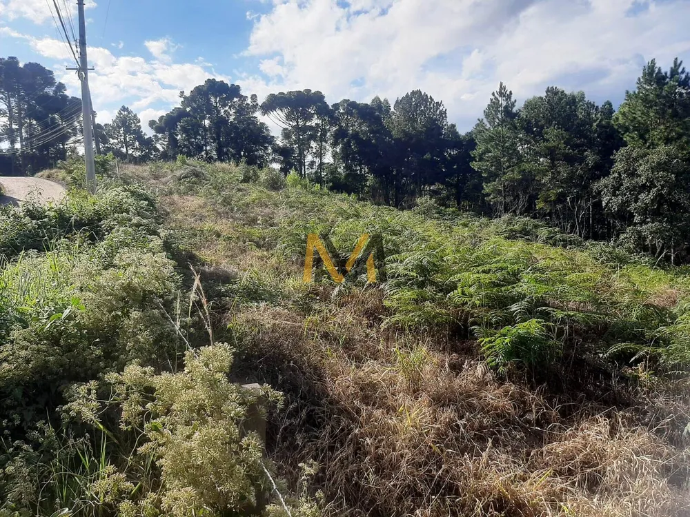 Terreno, 1500 m² - Foto 8