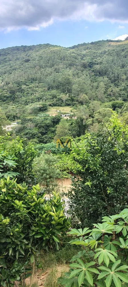 Chácara, 2 quartos, 2500 m² - Foto 4