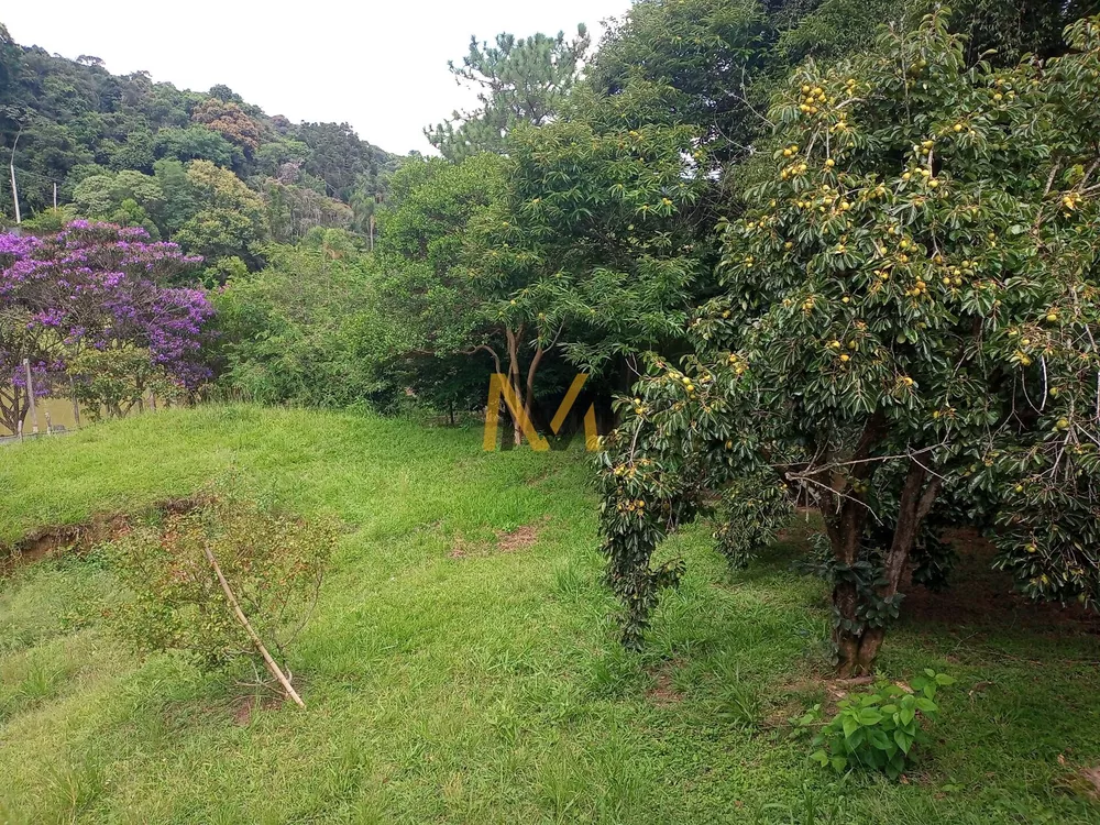 Sítio, 3 quartos, 2500 m² - Foto 23