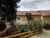 Chácara, 5 quartos, 6594 m² - Foto 3