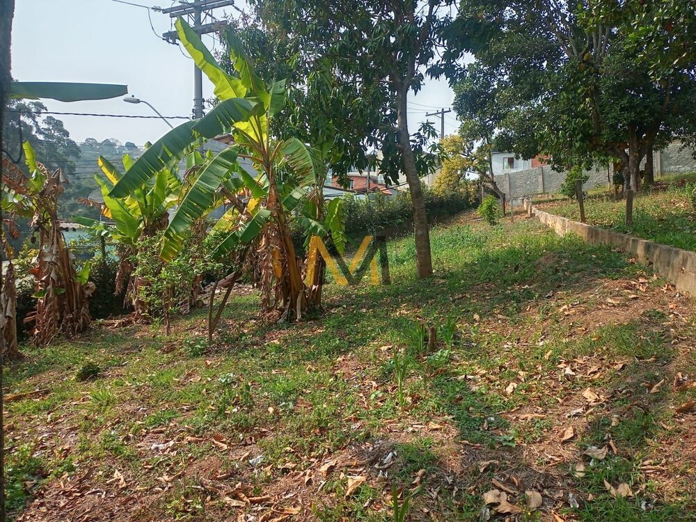 Chácara à venda com 3 quartos, 3800m² - Foto 5
