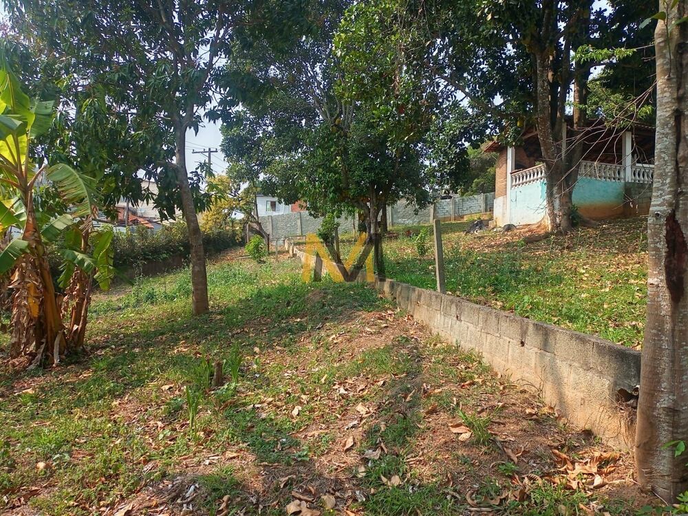 Chácara, 3 quartos, 3800 m² - Foto 44