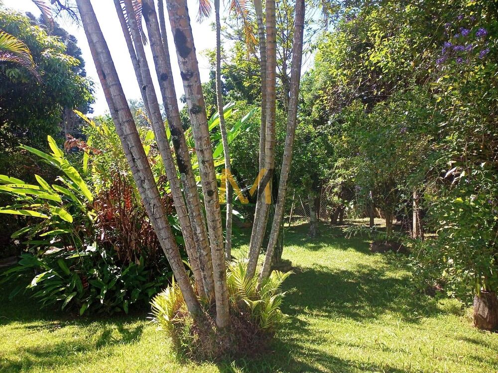 Chácara, 2 quartos, 2500 m² - Foto 4