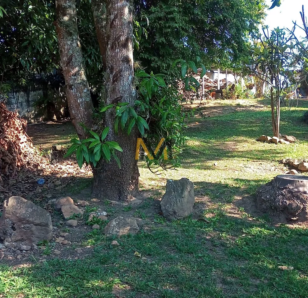 Chácara, 4 quartos, 8000 m² - Foto 1