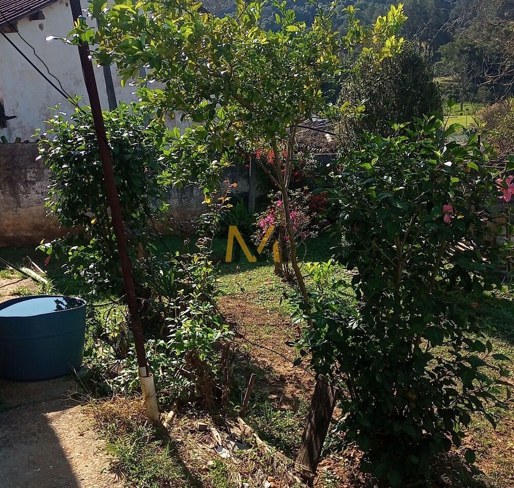 Chácara, 4 quartos, 8000 m² - Foto 10