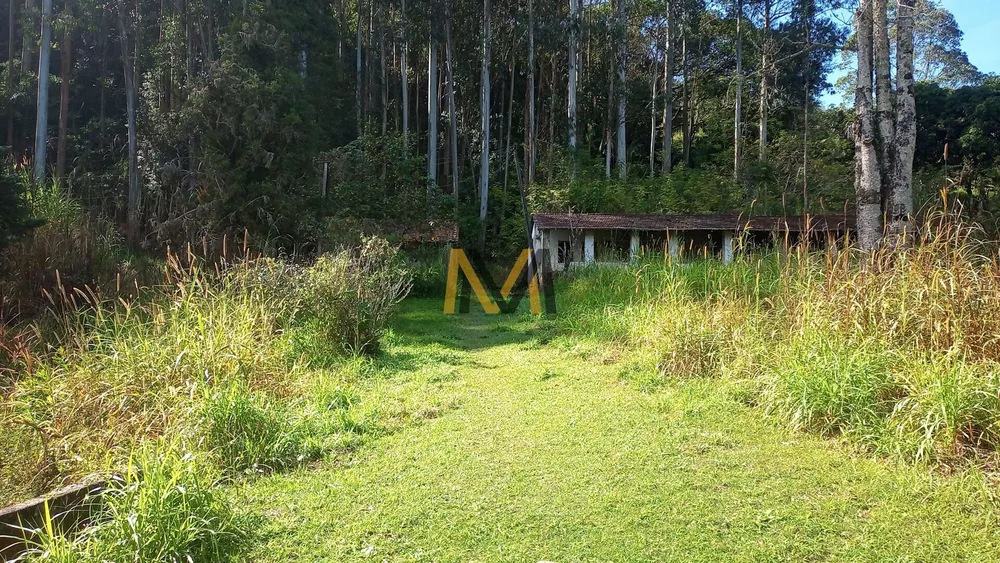 Chácara, 4 quartos, 2 hectares - Foto 4