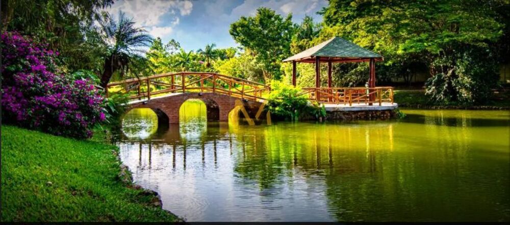 Terreno, 826 m² - Foto 13