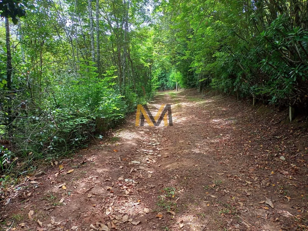 Sítio, 3 quartos, 5 hectares - Foto 2