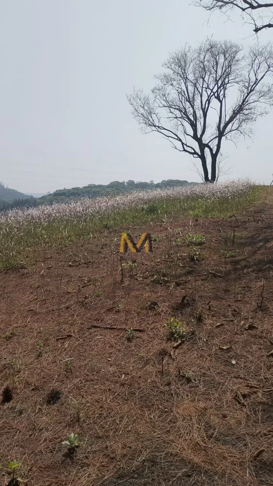 Terreno, 7000 m² - Foto 15