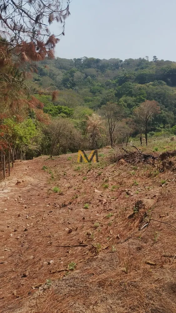 Terreno, 7000 m² - Foto 16