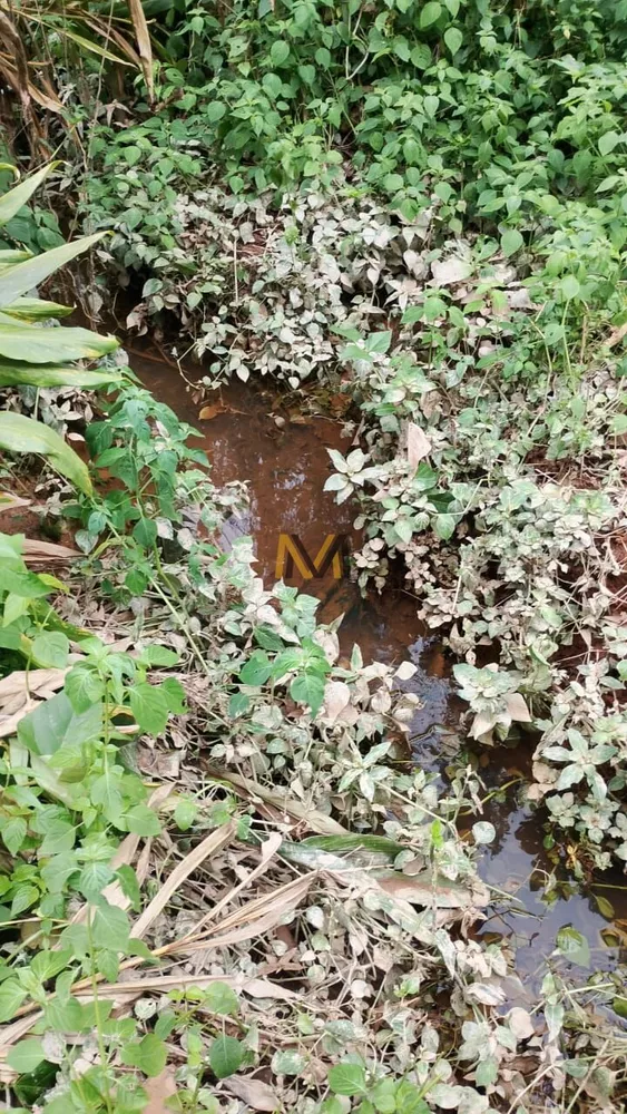 Terreno, 7000 m² - Foto 3