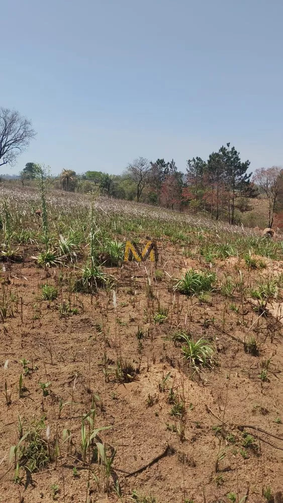 Terreno, 7000 m² - Foto 4