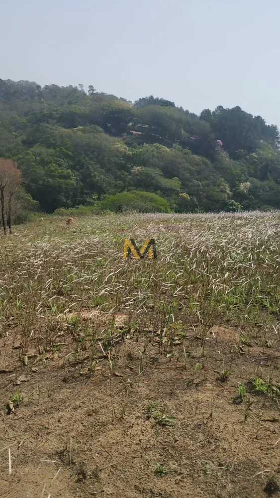 Terreno, 7000 m² - Foto 13