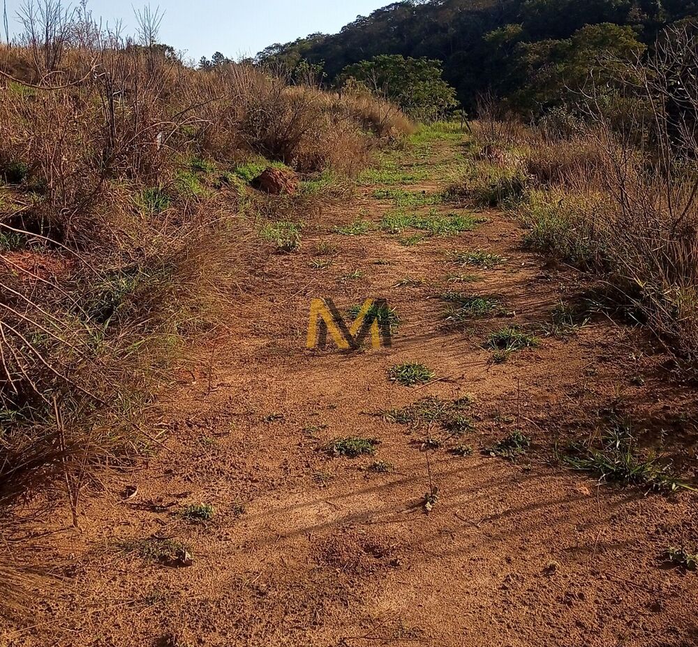 Terreno à venda, 7000m² - Foto 4
