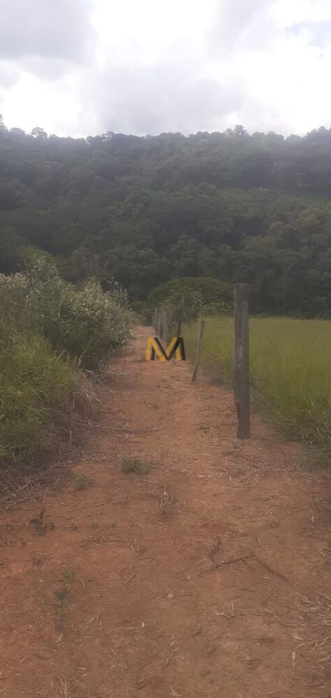 Terreno à venda, 7000m² - Foto 8
