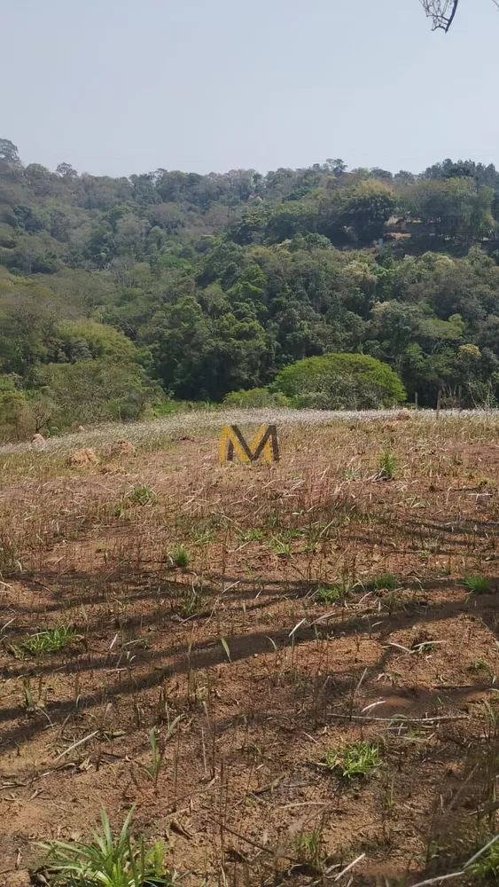 Terreno, 7000 m² - Foto 1