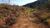Terreno, 7000 m² - Foto 2