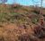 Terreno, 7000 m² - Foto 5